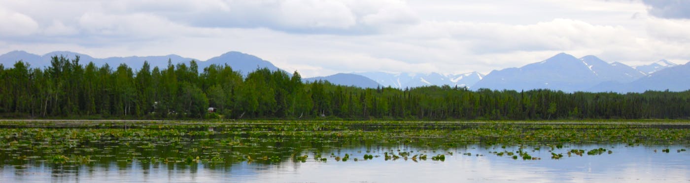 Greater Alaska Taiga & Tundra (NA4)